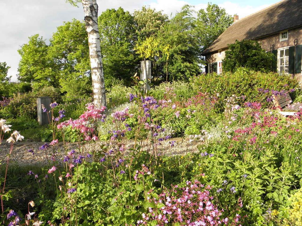 Bed & Breakfast Hofstede Het Klaphek Randwijk Стая снимка